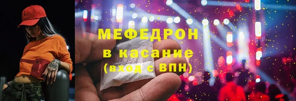 мдпв Ельня