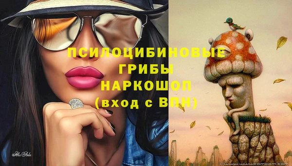 молекула духа Щигры