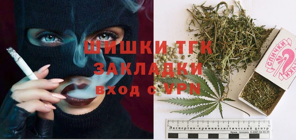 мдпв Ельня