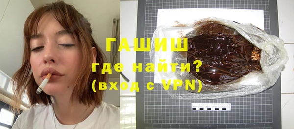 мдпв Ельня